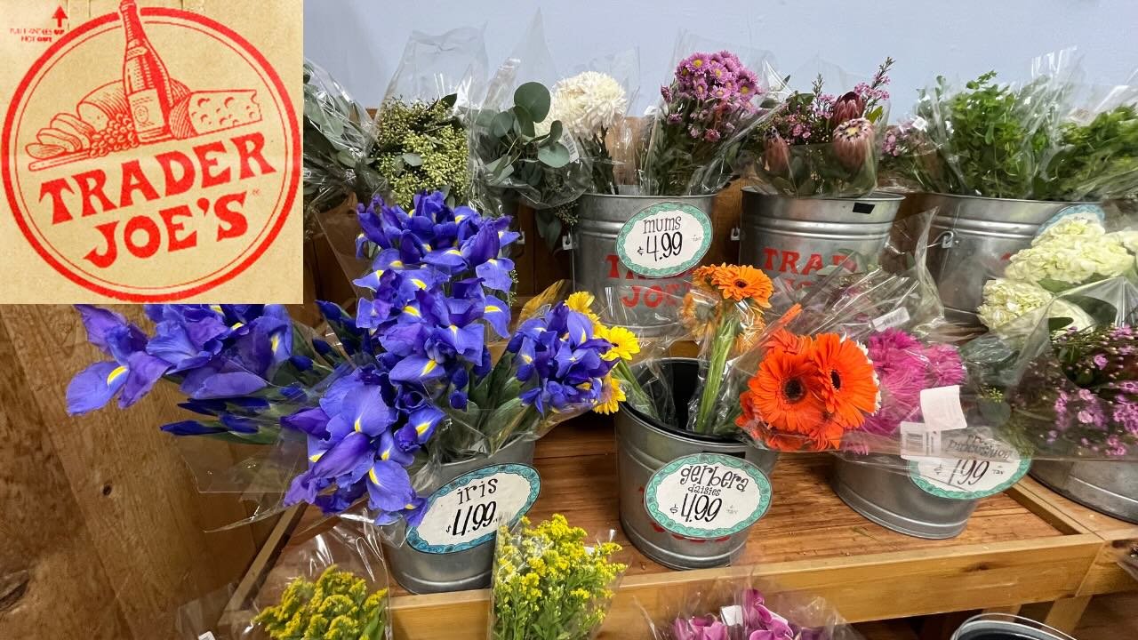 Spring into Beauty with Trader Joe’s Flowers